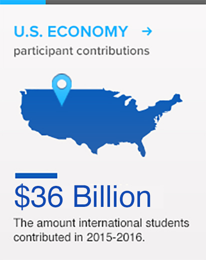 Infographic