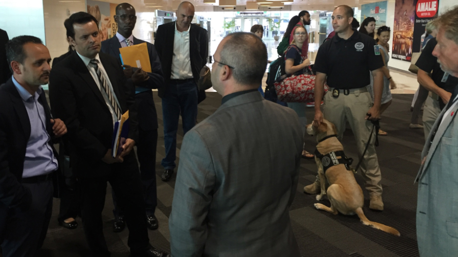 Photo of example group of security gentlemen.