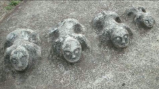 Stone sculptures from Lore-Lindu National Park in Central Sulawesi Province, Indonesia